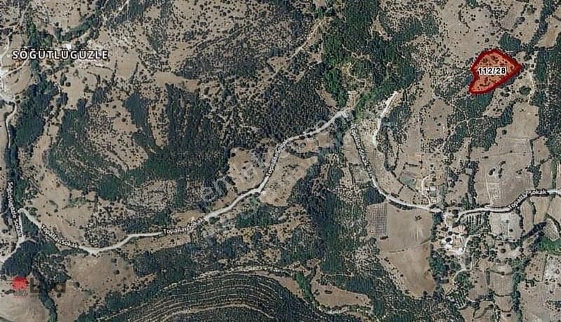 Rw Liva Dan Savaştepe Söğütlügüzle De Satılık Tarla