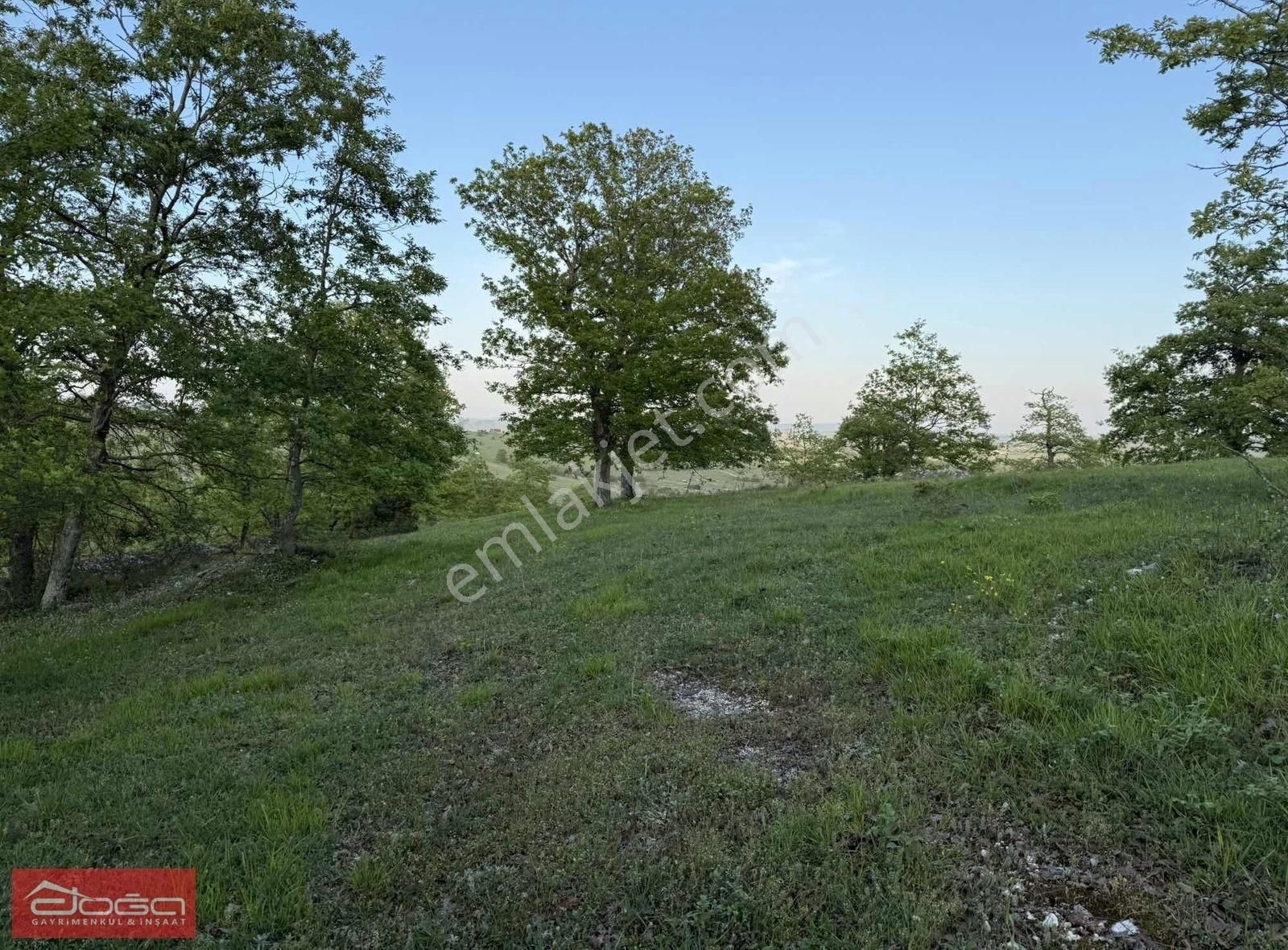 Acil Fiyatkütahya Tavşanlı Gümüş Gölcuk 4,048 M2 Satılık Tarla