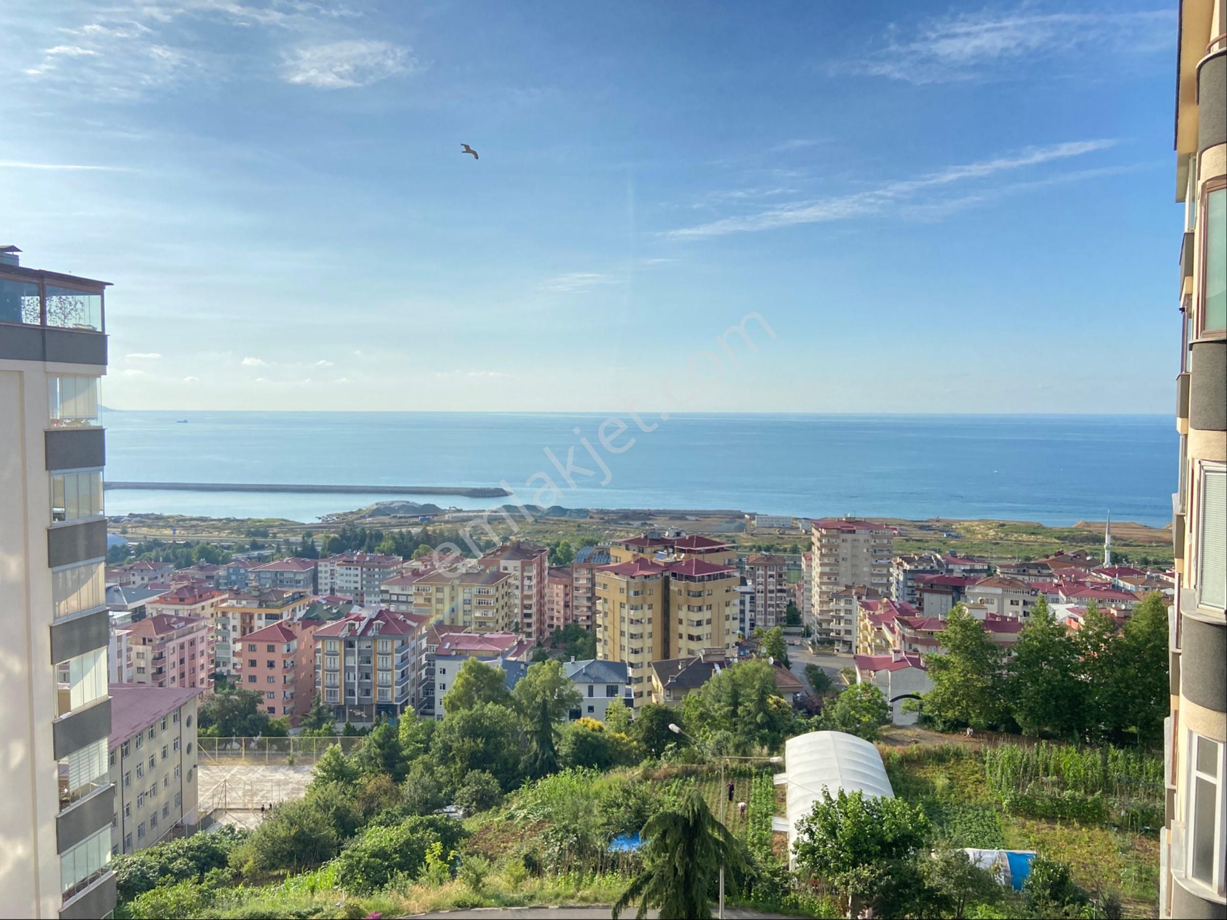 Trabzon Site İçi Fırsat Daire