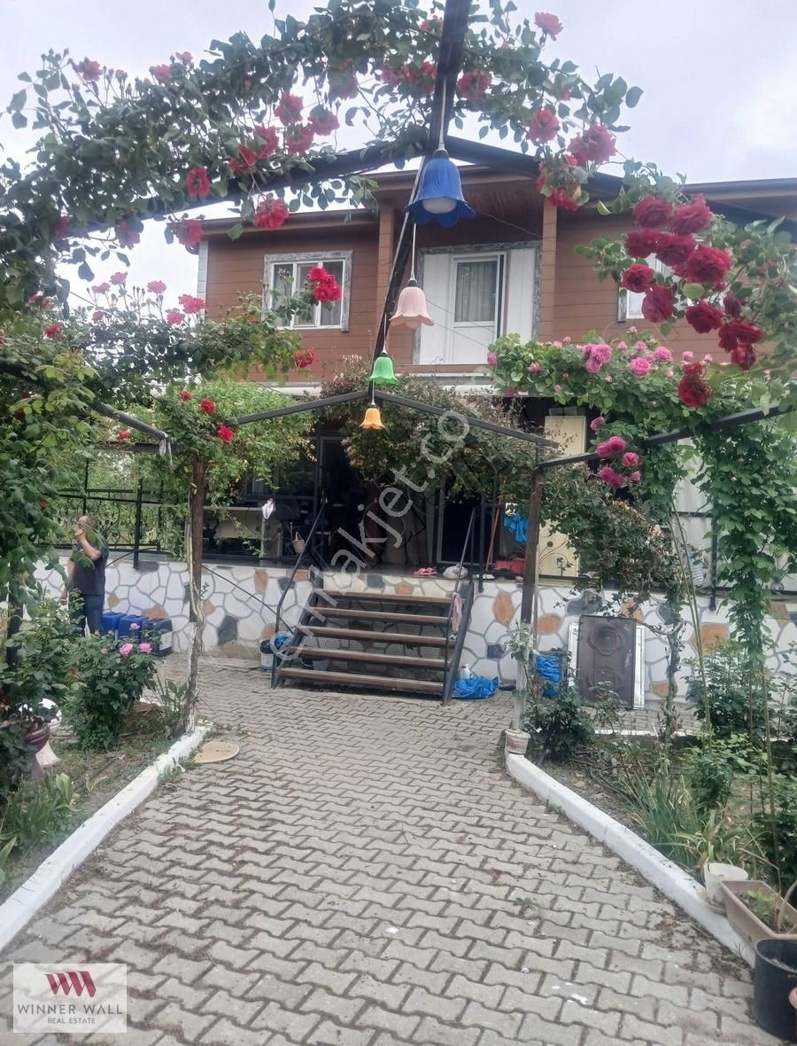 Wınner Wall'dan Kayapa'da Organik Yaşam Ortamı