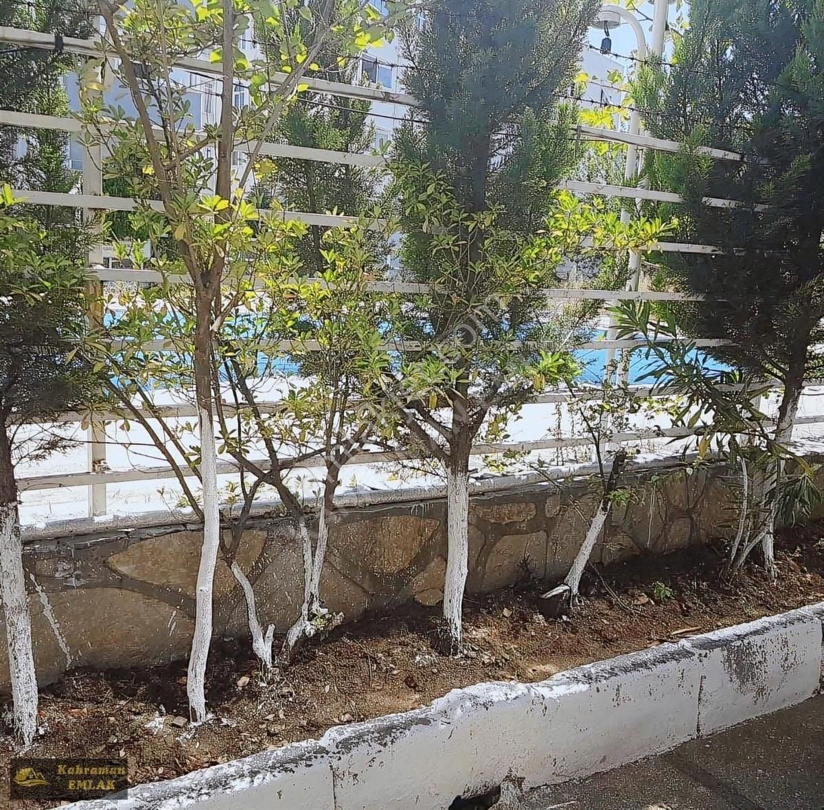 Çınarcıkta Havuzlu Site İçinde Deniz Manzaralı Daire - Görsel 21
