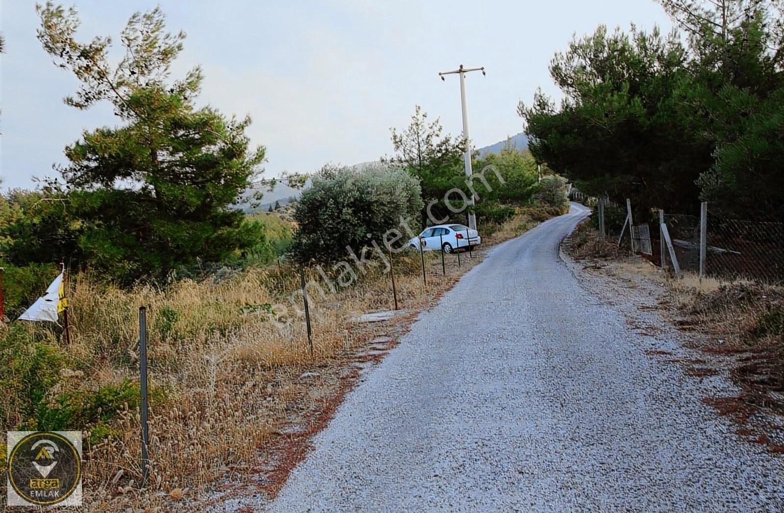 Arga'dan K.paşa Ören 75.yıl Cumhuriyet Mh. 1888m2 Satılık Tarla - Görsel 18