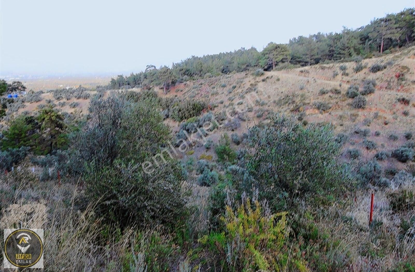 Arga'dan K.paşa Ören 75.yıl Cumhuriyet Mh. 1888m2 Satılık Tarla - Görsel 26