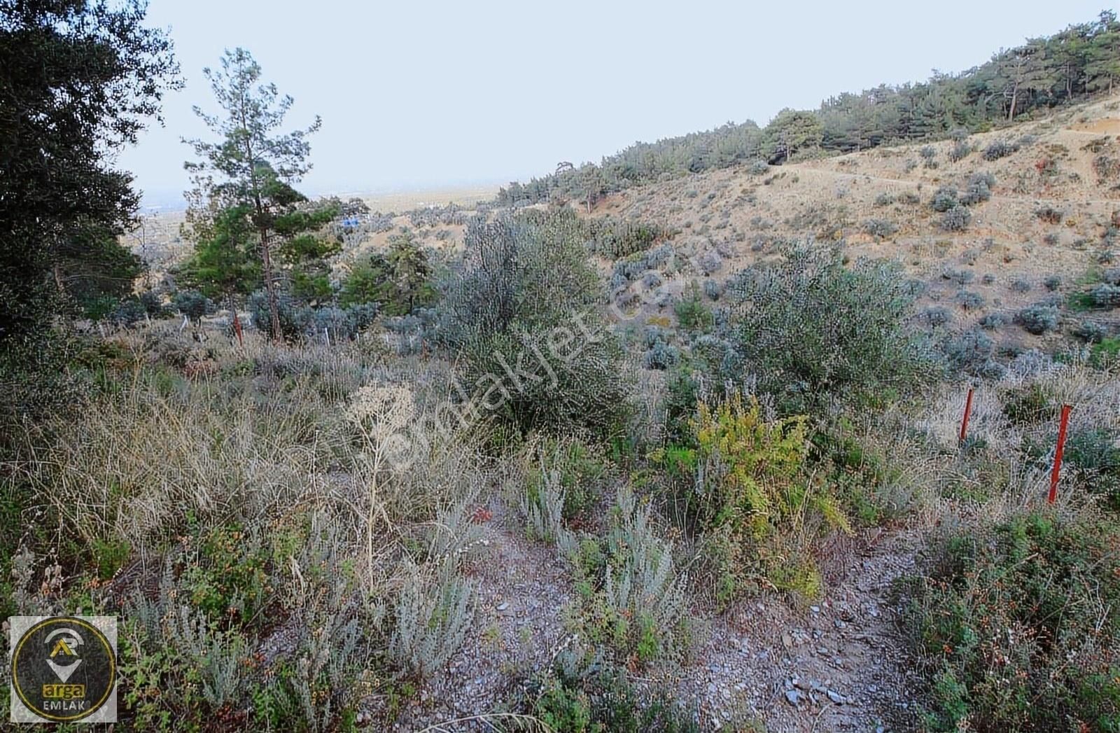 Arga'dan K.paşa Ören 75.yıl Cumhuriyet Mh. 1888m2 Satılık Tarla - Görsel 12