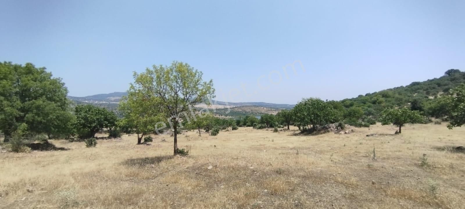 Manisa Bostanlar Mahallesinde Göl Manzaralı Satılık Tarla