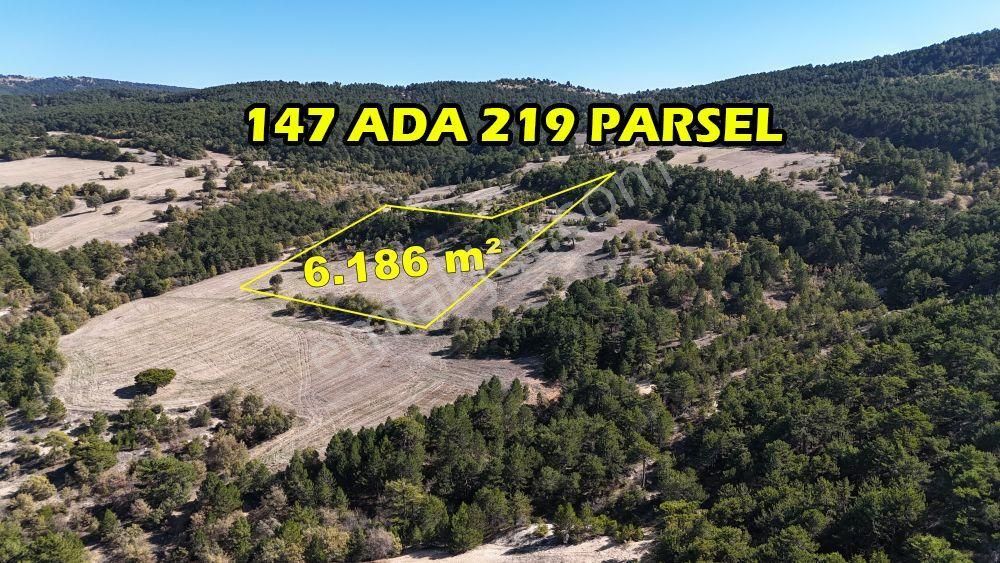 Konya / Ilgın / Balkı Mahallesinde 6.186 M² Müstakil Tapulu Tarla