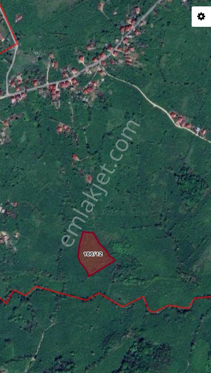 Öceli Mah Satılık 11.700 M2 Bahçe - Görsel 3