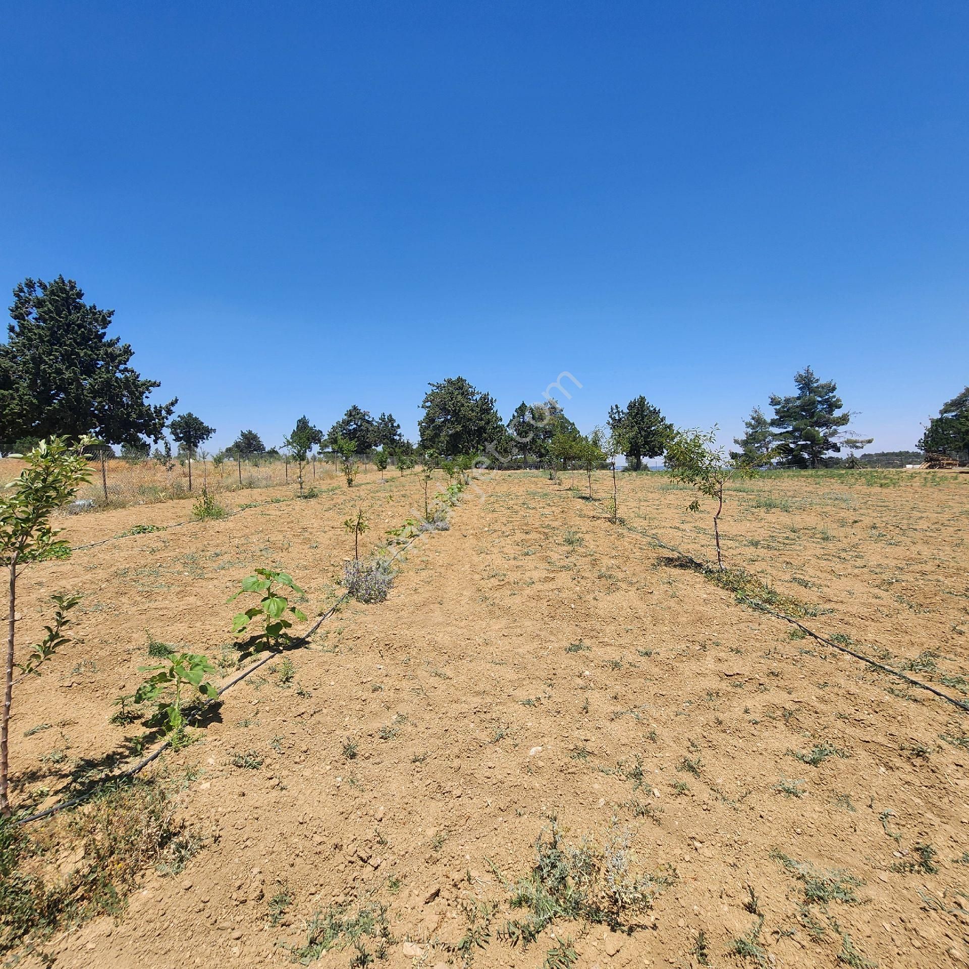Korkuteli Yukarı Karaman Da Doğa İle İç İçe Satılık Arazi - Görsel 14