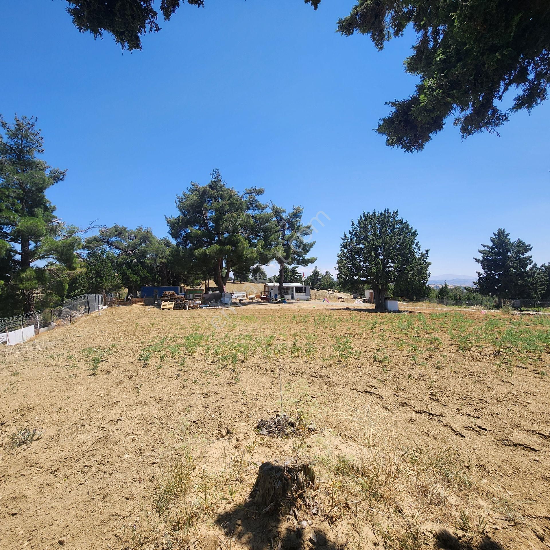 Korkuteli Yukarı Karaman Da Doğa İle İç İçe Satılık Arazi - Görsel 8