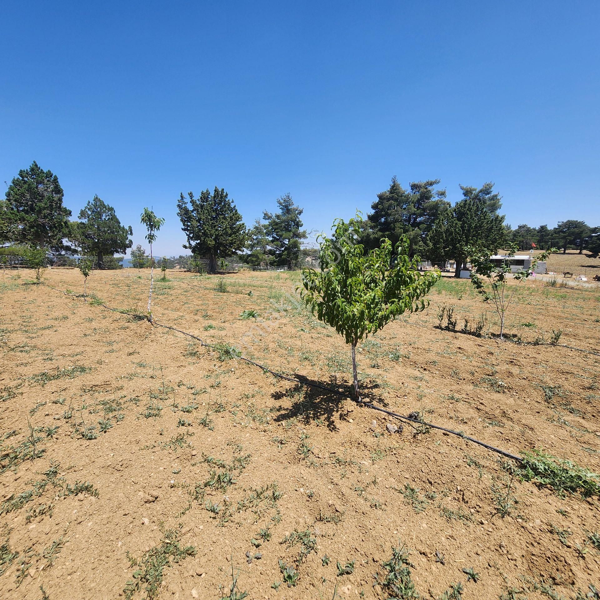 Korkuteli Yukarı Karaman Da Doğa İle İç İçe Satılık Arazi - Görsel 10