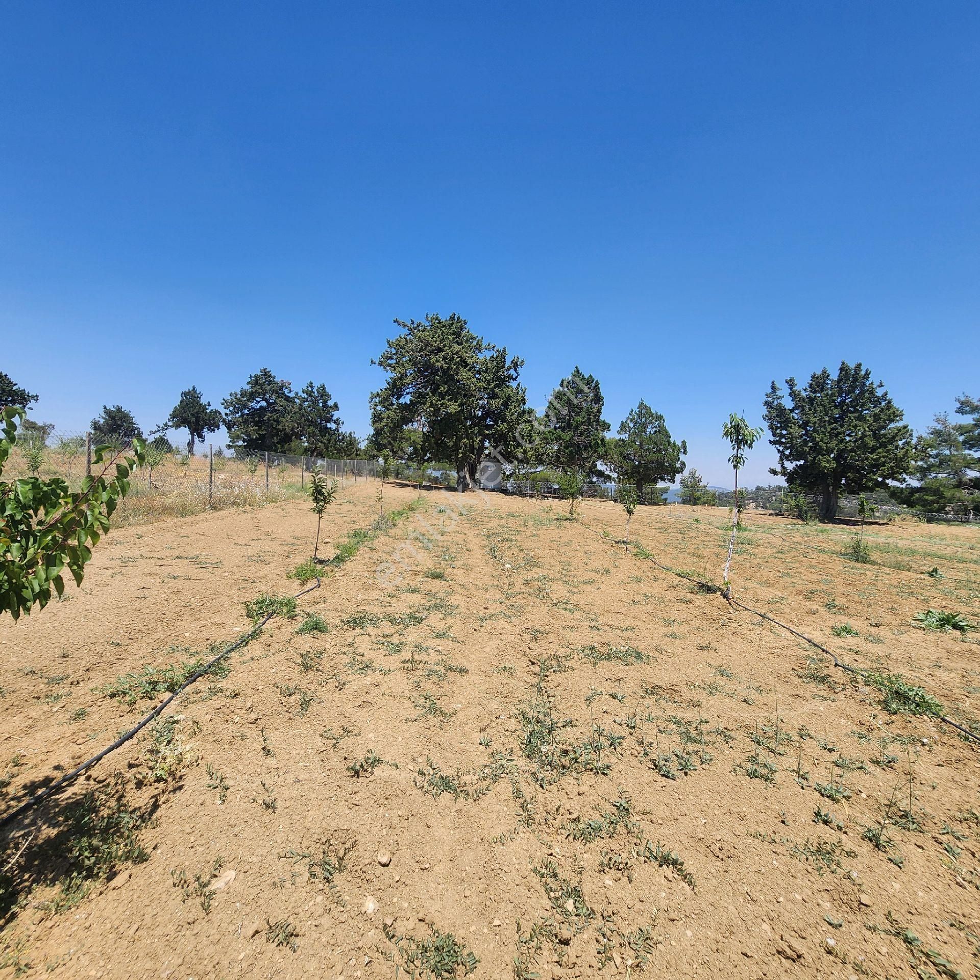 Korkuteli Yukarı Karaman Da Doğa İle İç İçe Satılık Arazi - Görsel 11