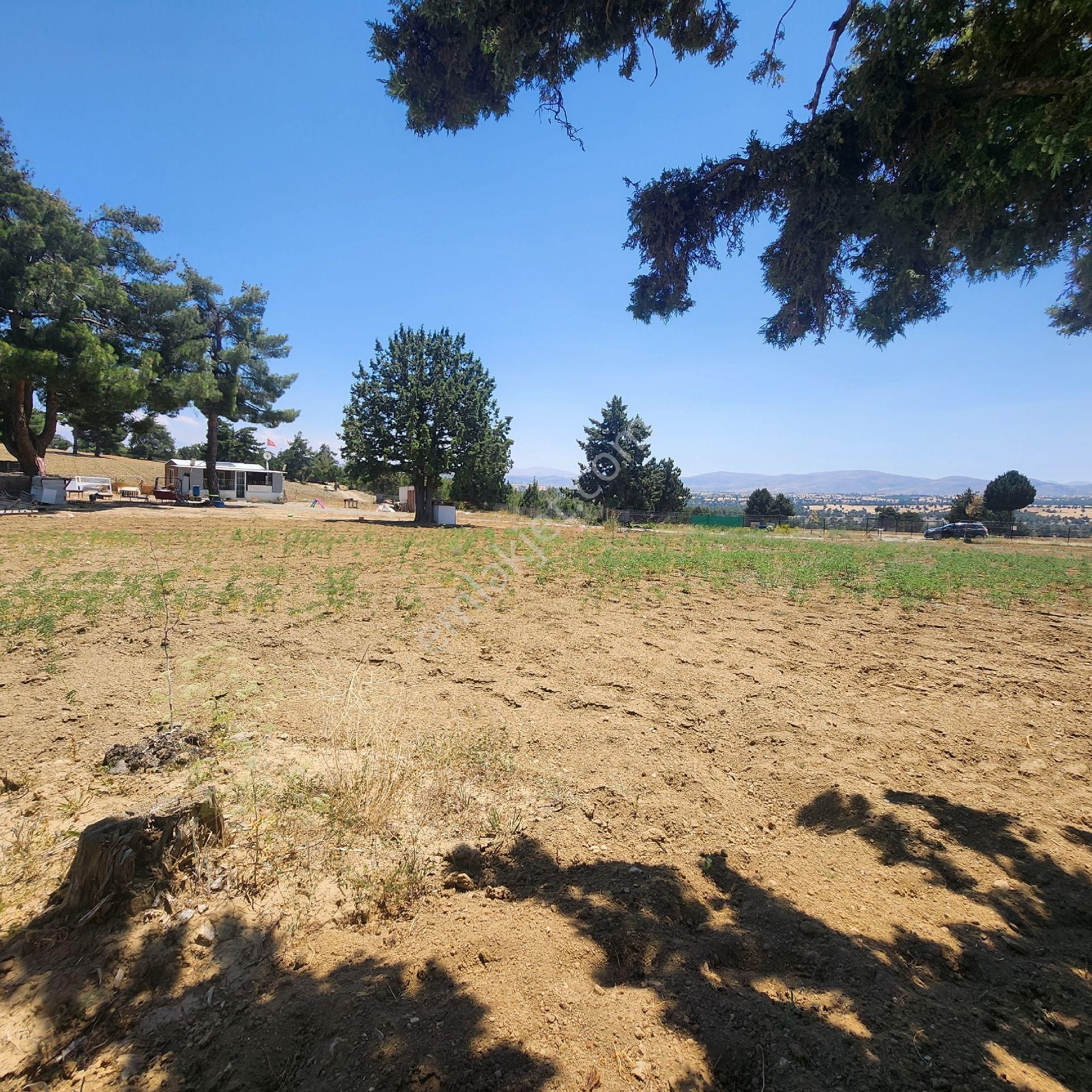 Korkuteli Yukarı Karaman Da Doğa İle İç İçe Satılık Arazi - Görsel 9