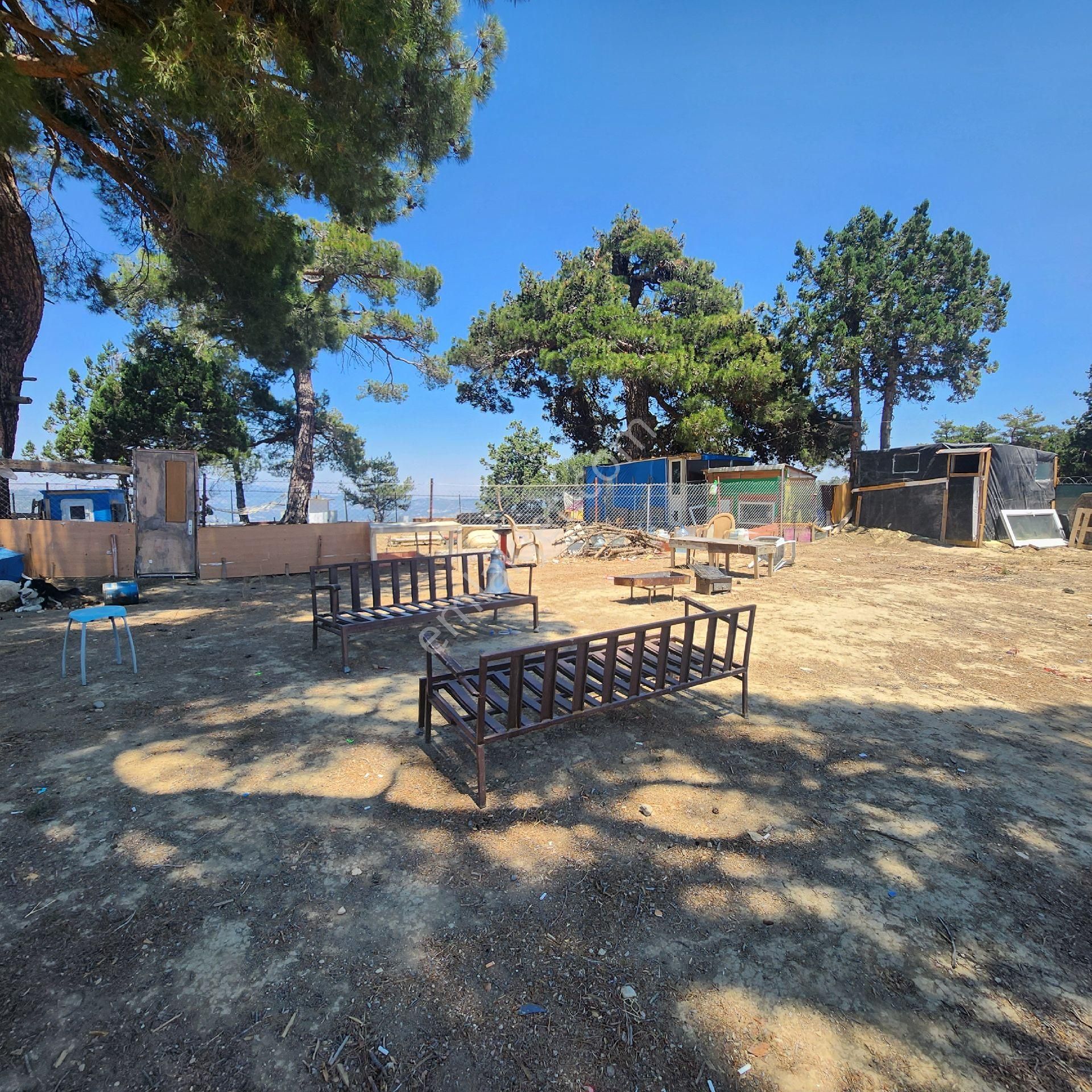 Korkuteli Yukarı Karaman Da Doğa İle İç İçe Satılık Arazi