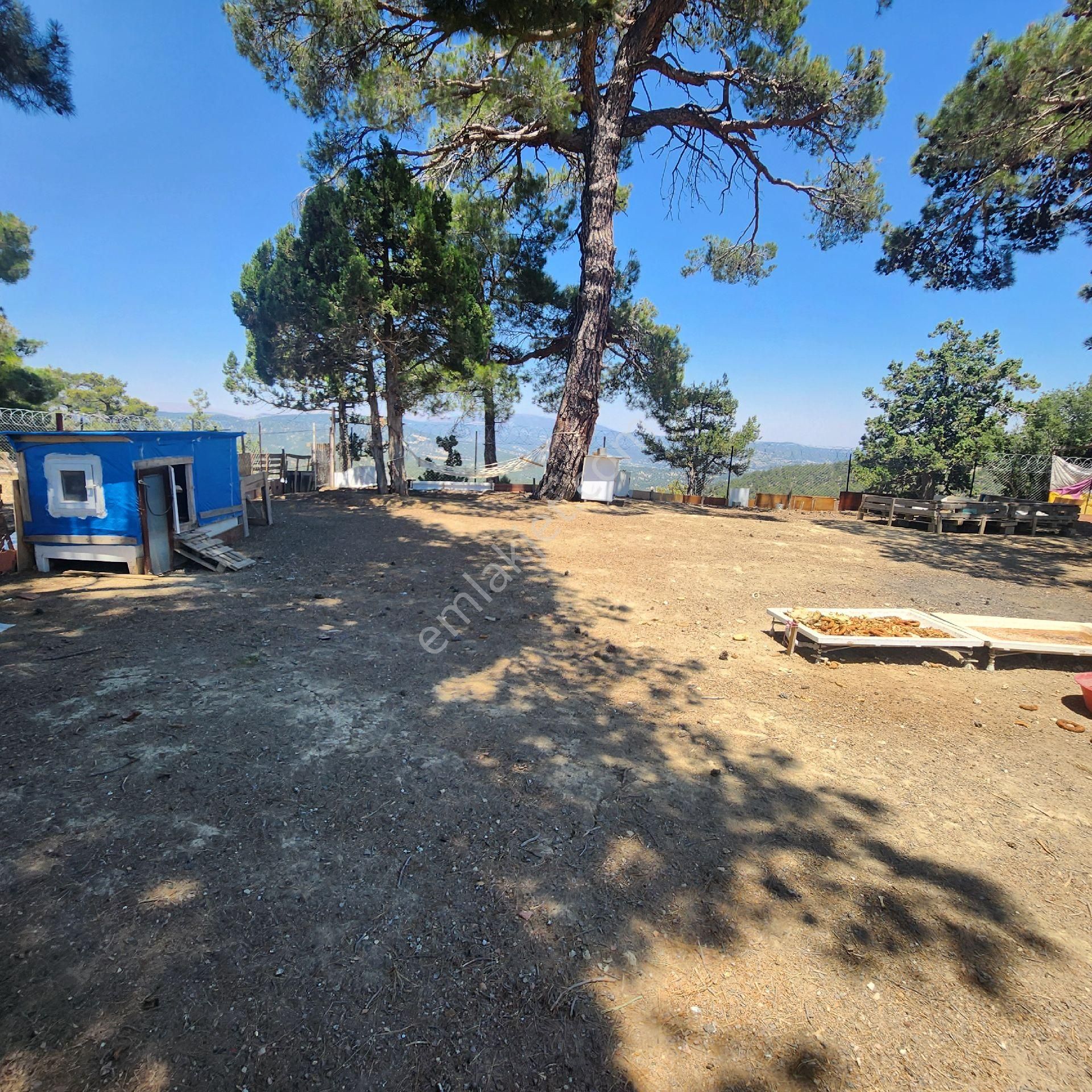 Korkuteli Yukarı Karaman Da Doğa İle İç İçe Satılık Arazi - Görsel 3