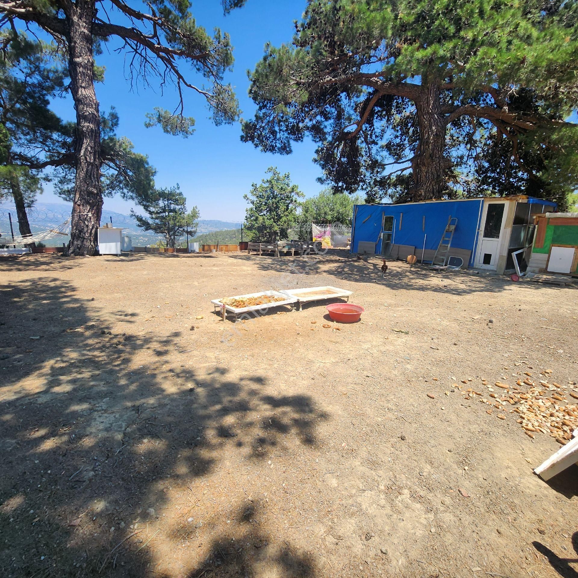 Korkuteli Yukarı Karaman Da Doğa İle İç İçe Satılık Arazi - Görsel 2