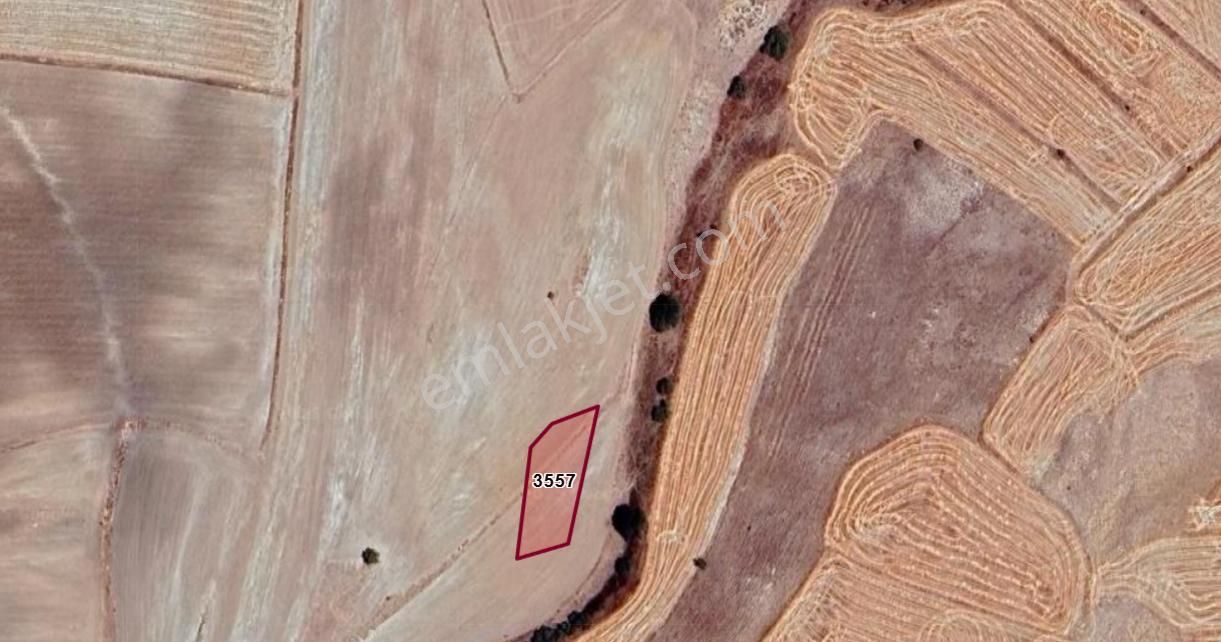 Kayseri Bünyan Hazerşah Köyünde 1.000 M² Tarlamız Satılıktır