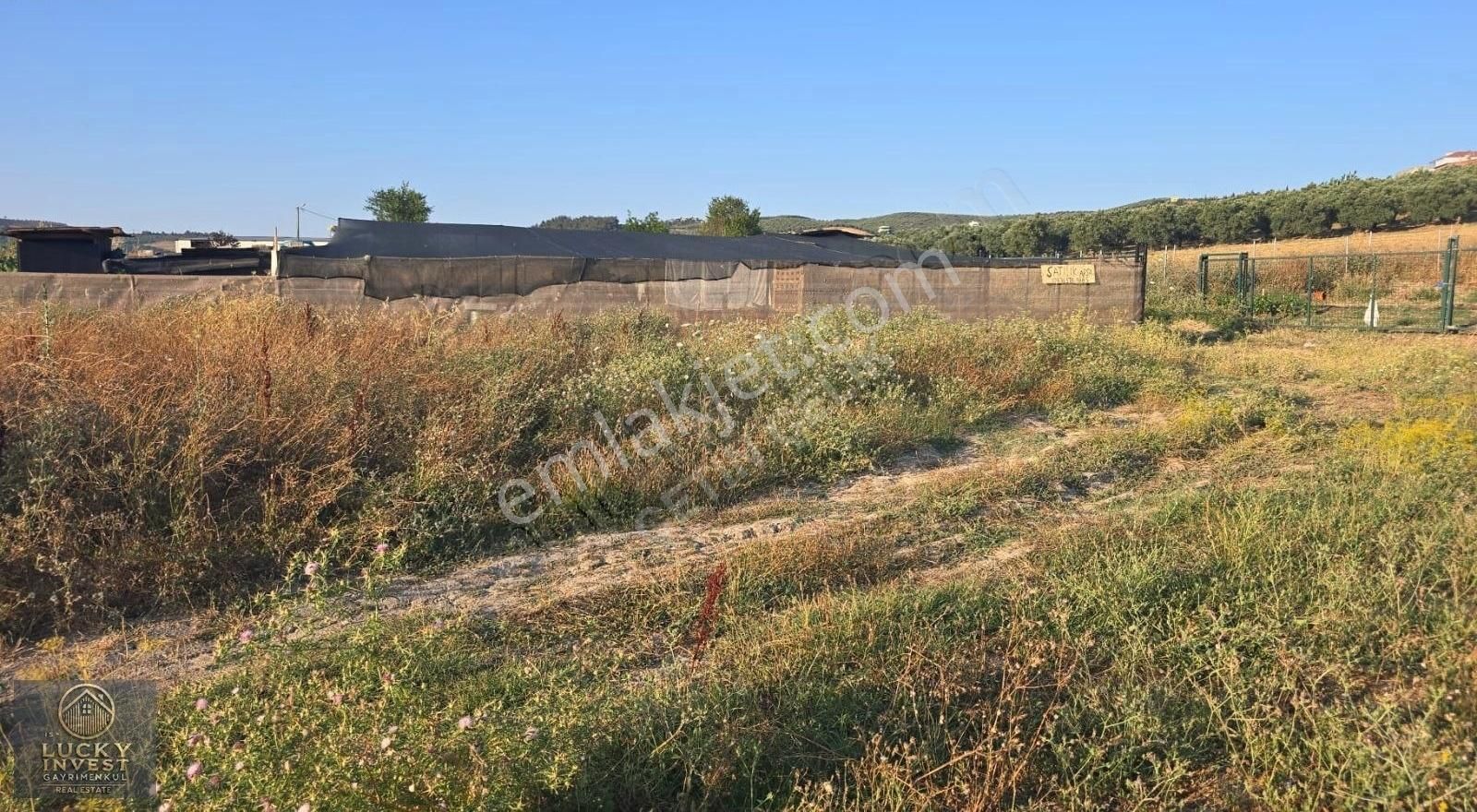 Mudanya Ülkü Köyde Fırsat Arsa - Görsel 3