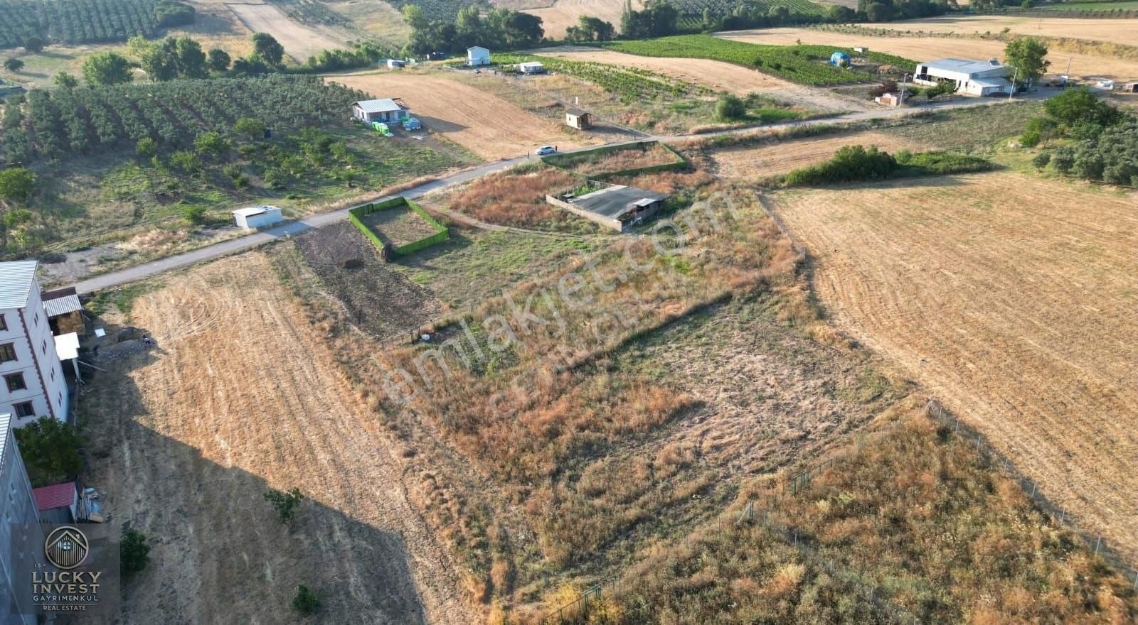 Mudanya Ülkü Köyde Fırsat Arsa - Görsel 6