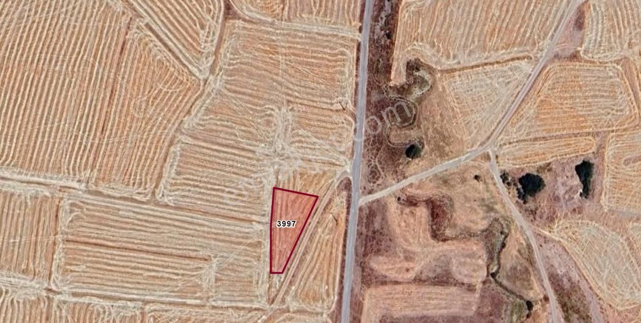 Kayseri Bünyan Hazerşah Köyünde 1.320 M² Tarlamız Satılıktır
