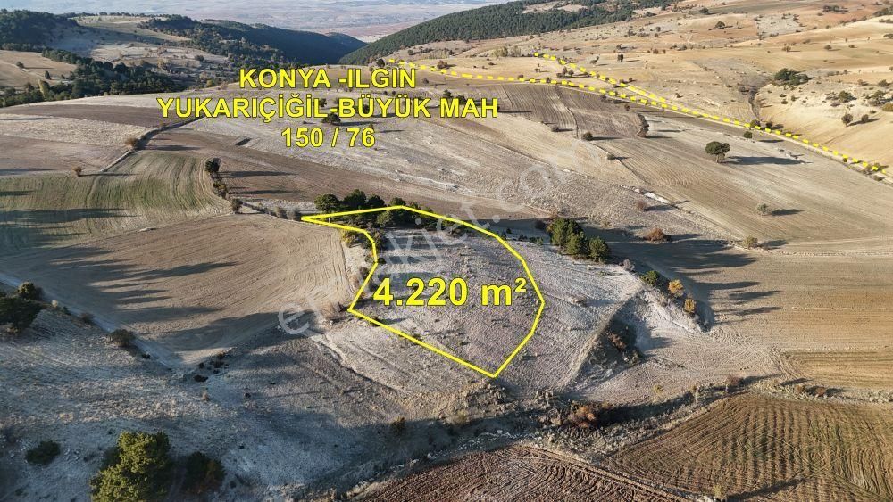 4.220 M² / Konya / Ilgın / Yukarıçiğil-büyük / Tarla