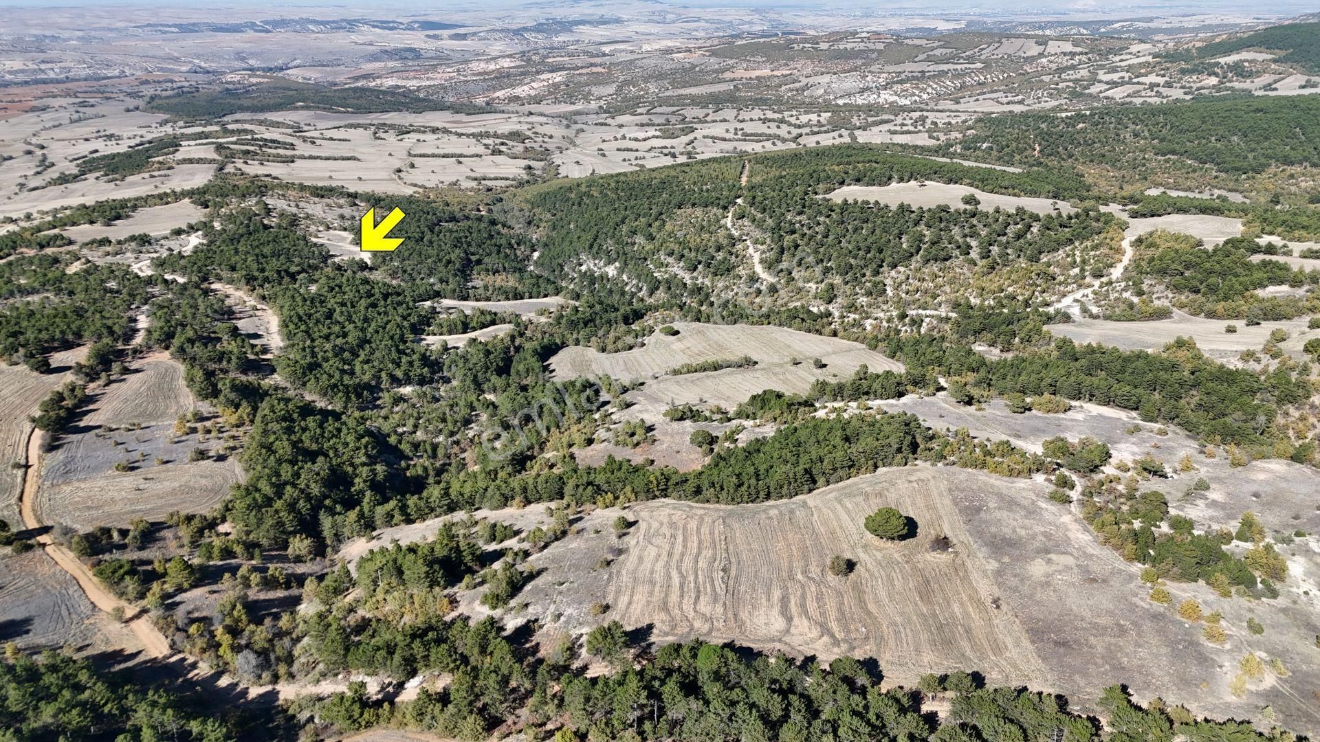 Ilgın Mahallesinde Tarla 1.975 M² / Konya / Ilgın / Balkı