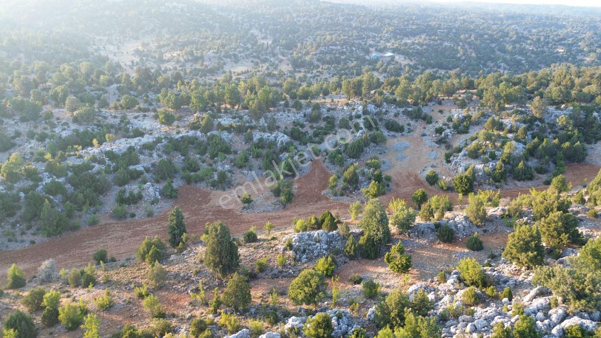 Silifke Kızılgeçit Mahallesinde 20 Dönüm Tarla... - Görsel 8
