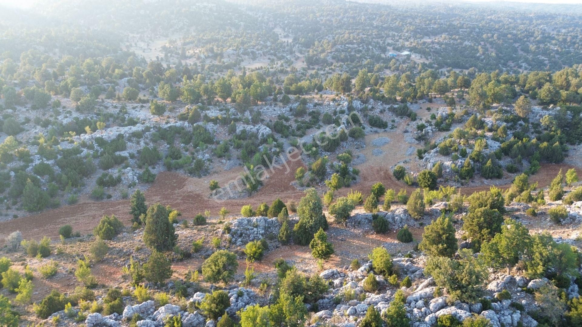 Silifke Kızılgeçit Mahallesinde 20 Dönüm Tarla... - Görsel 9