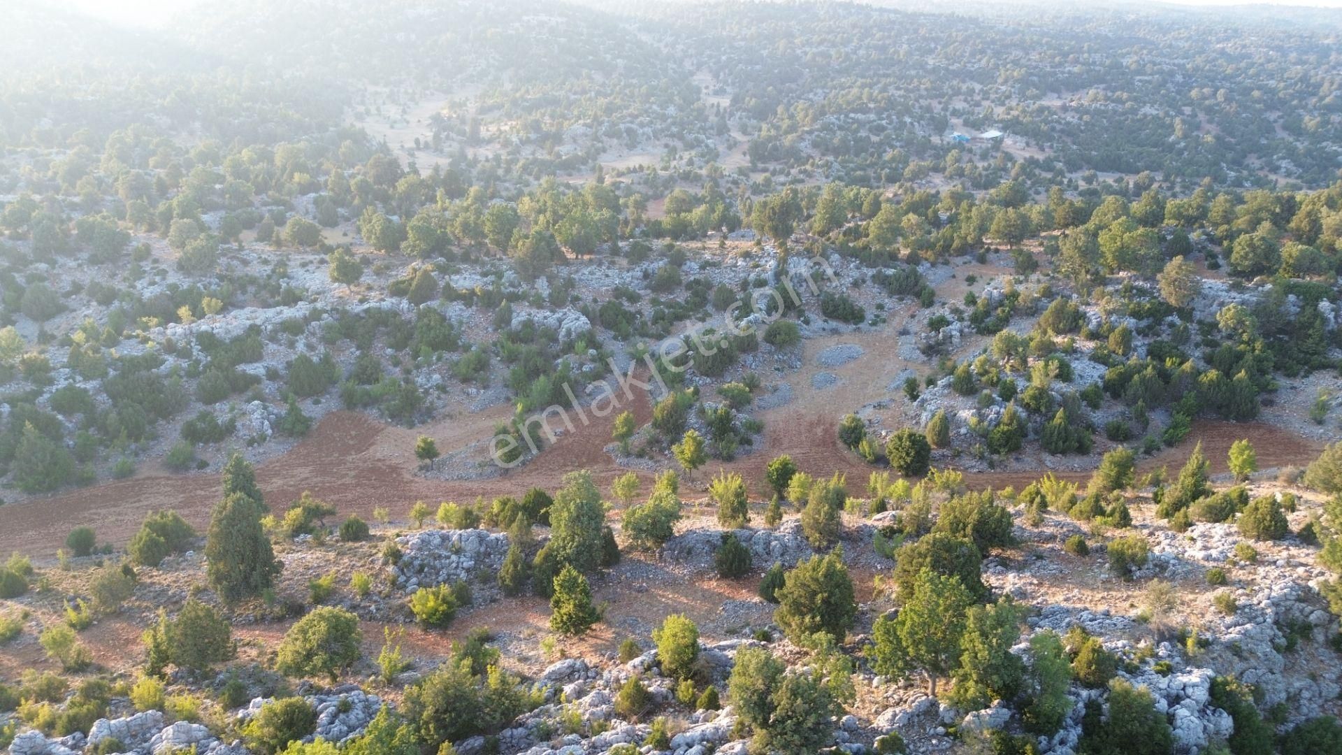 Silifke Kızılgeçit Mahallesinde 20 Dönüm Tarla... - Görsel 10