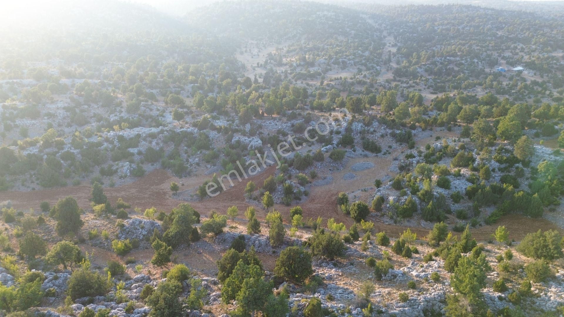 Silifke Kızılgeçit Mahallesinde 20 Dönüm Tarla... - Görsel 12