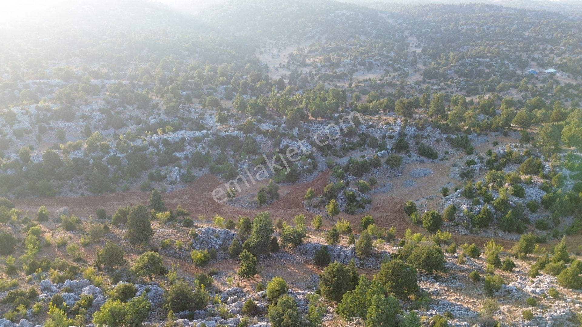 Silifke Kızılgeçit Mahallesinde 20 Dönüm Tarla... - Görsel 11