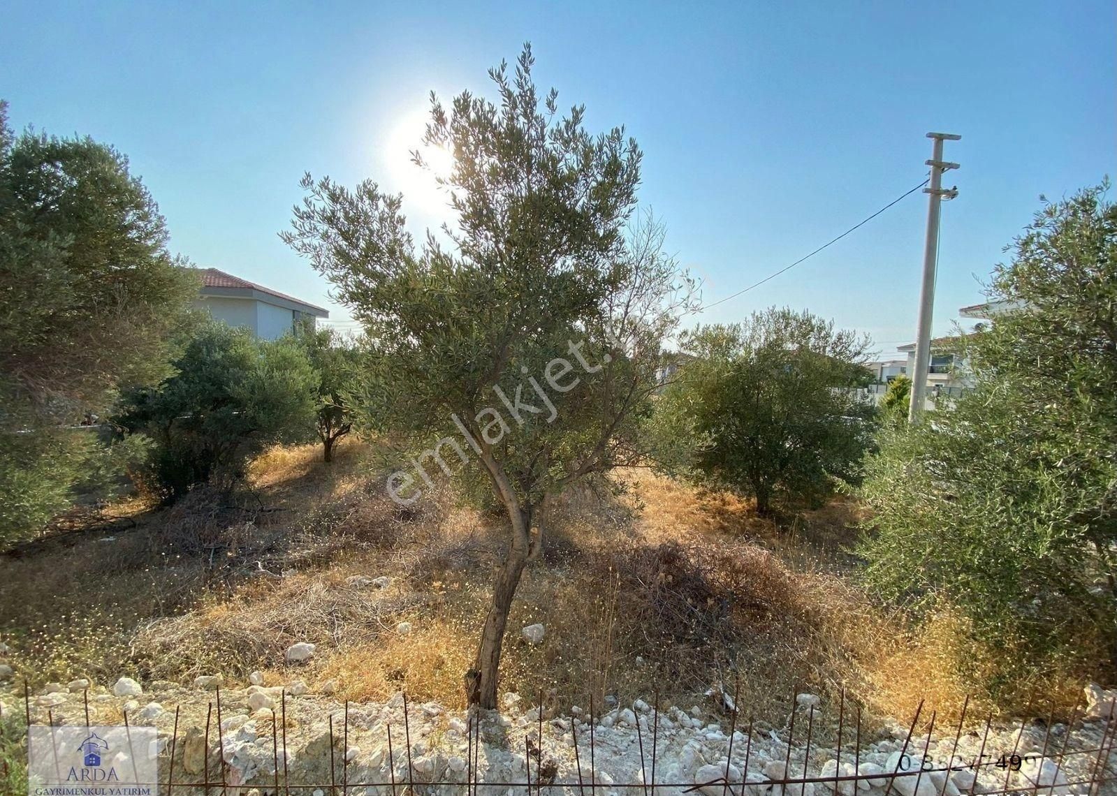 Çeşme Reisderede 625 M2 15/30 Villa İmarlı Satılık Köşe Arsa - Görsel 10