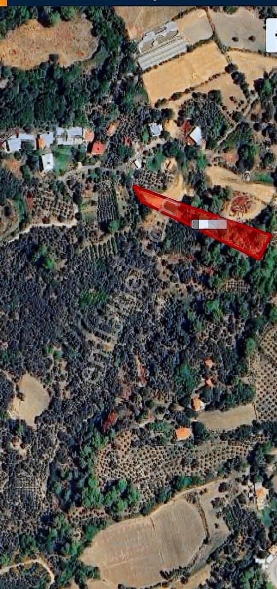 Seydikemer Yaka Köyü Doğa İçinde 3200mt Müstakil Tarla Satılık