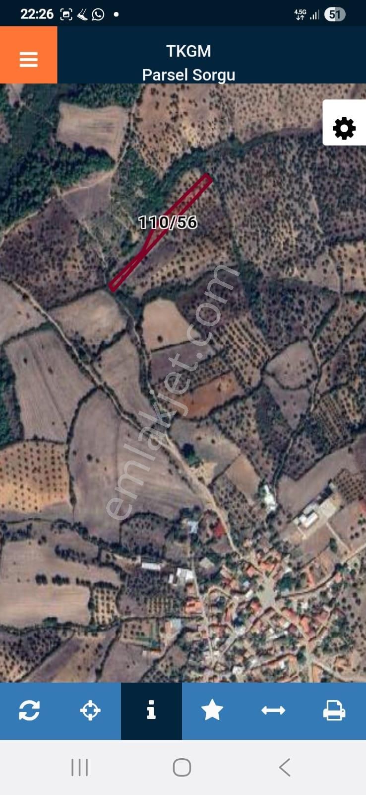 Çanakkale Bayramiç Saçaklıköyünde Satılık Zeytinlik - Görsel 11