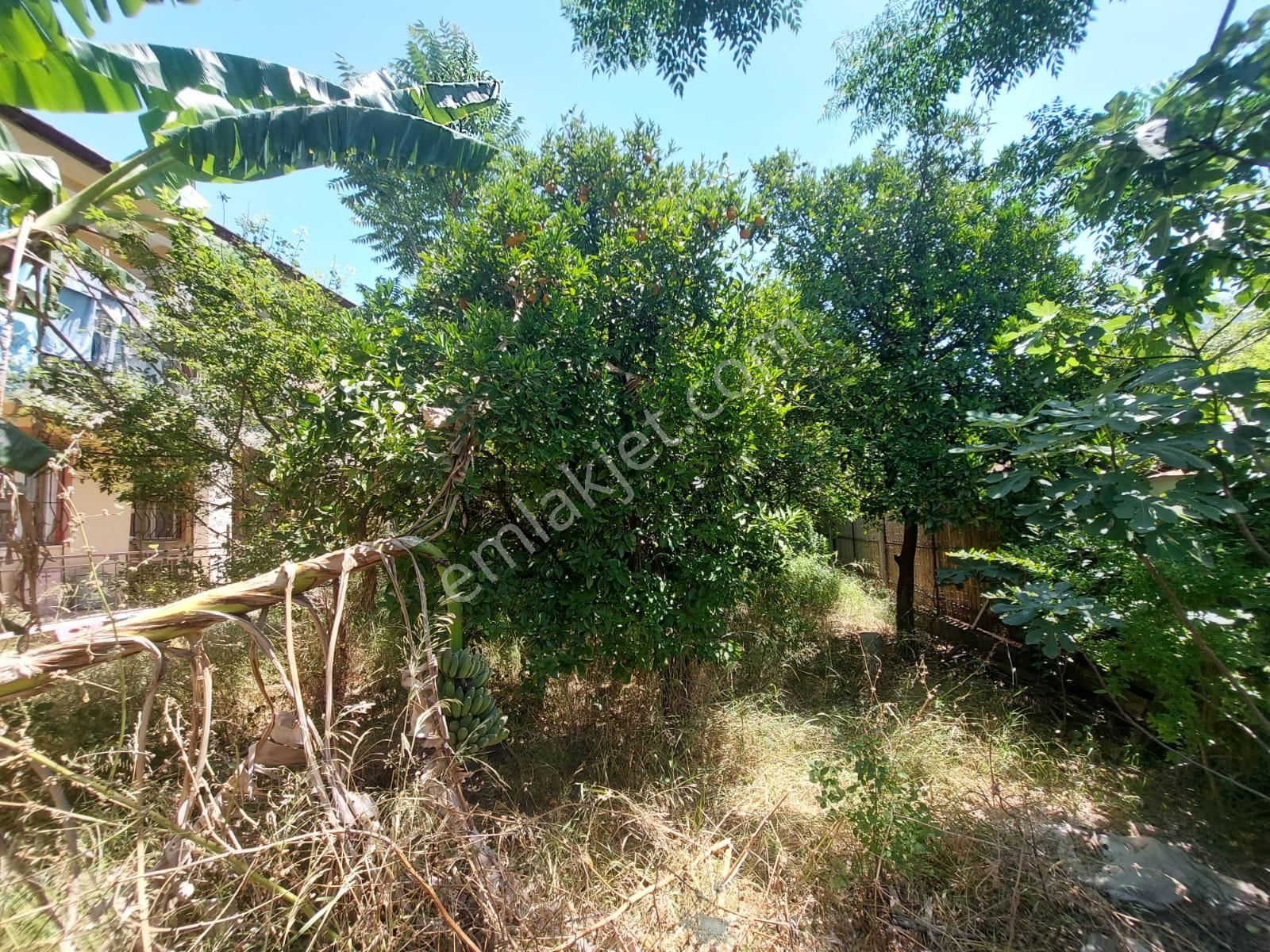 Ortaca Okçular’da İmar Planı İçinde Satılık Köy Evi - Görsel 6