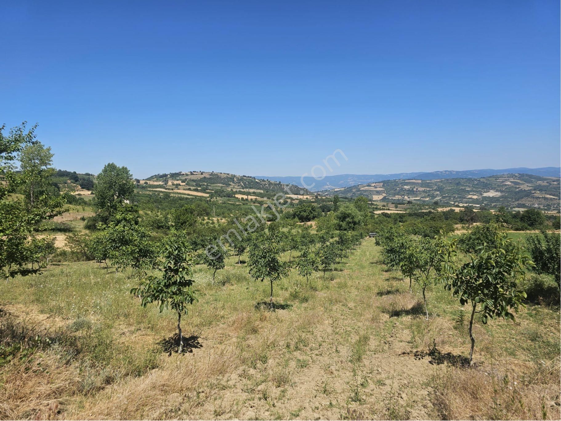 Bursa İnegöl Maden'de Satılık 10.780 M² Ceviz Bahçesi 🌳 - Görsel 10