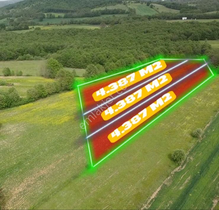 Bursa Nilüfer Unçukuru Köyünde Doğayla İç İçe 4.387 M2 Tarla