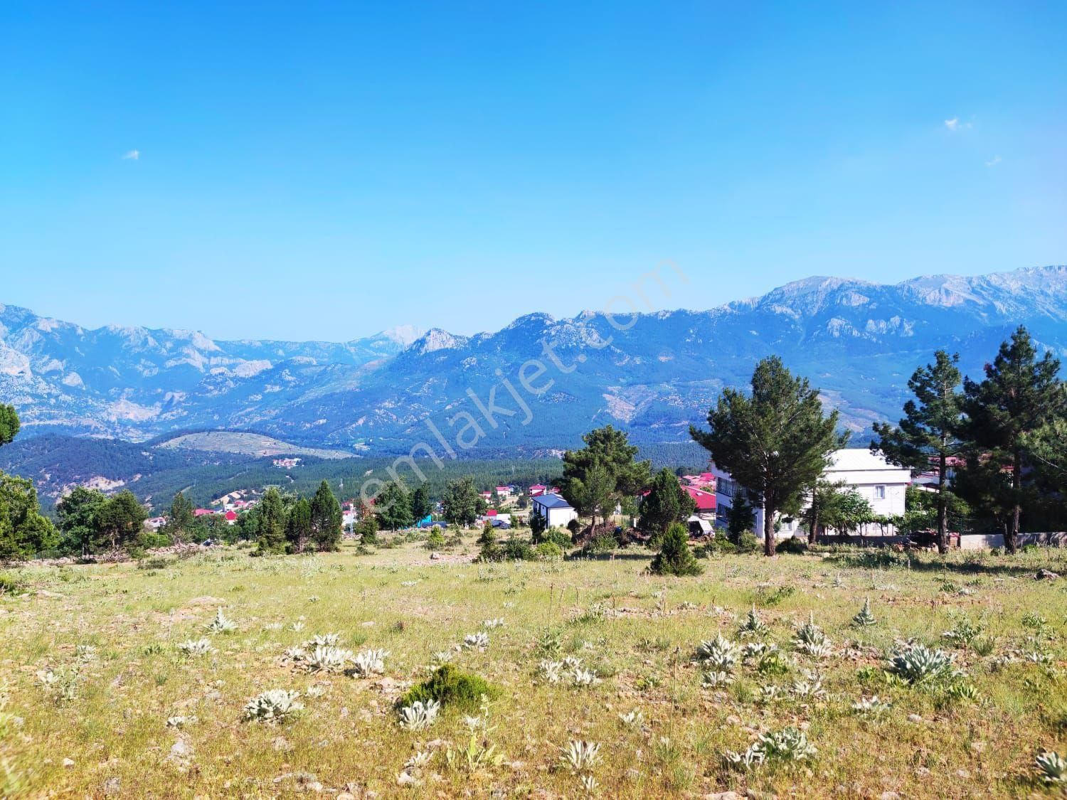 Pozantı Ömerli Köyünde Bahçe Satılık - Görsel 3