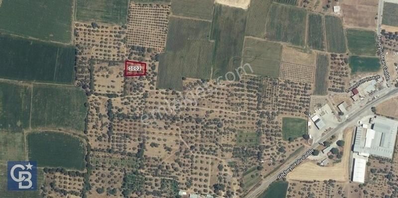 Bergama/göçbeyli'ye 1 Km. 1.056 M2 Müstakil Tapulu Zeytinlik