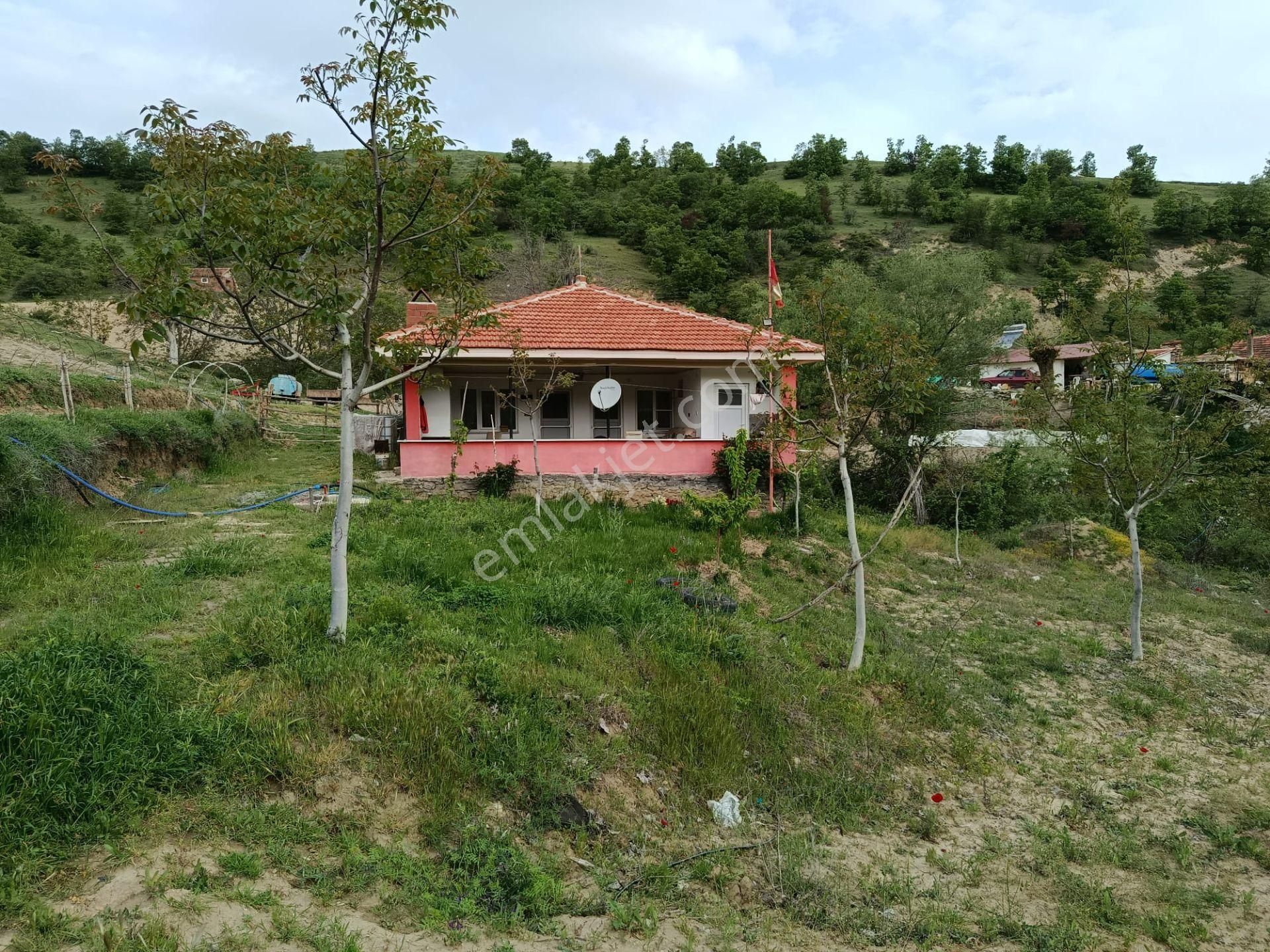 Yuvam Gayrimenkul’den Satılık Uşak Eşme Ağabey Köyünde 10.900 M2 Ev Ve Cevizlik - Görsel 11