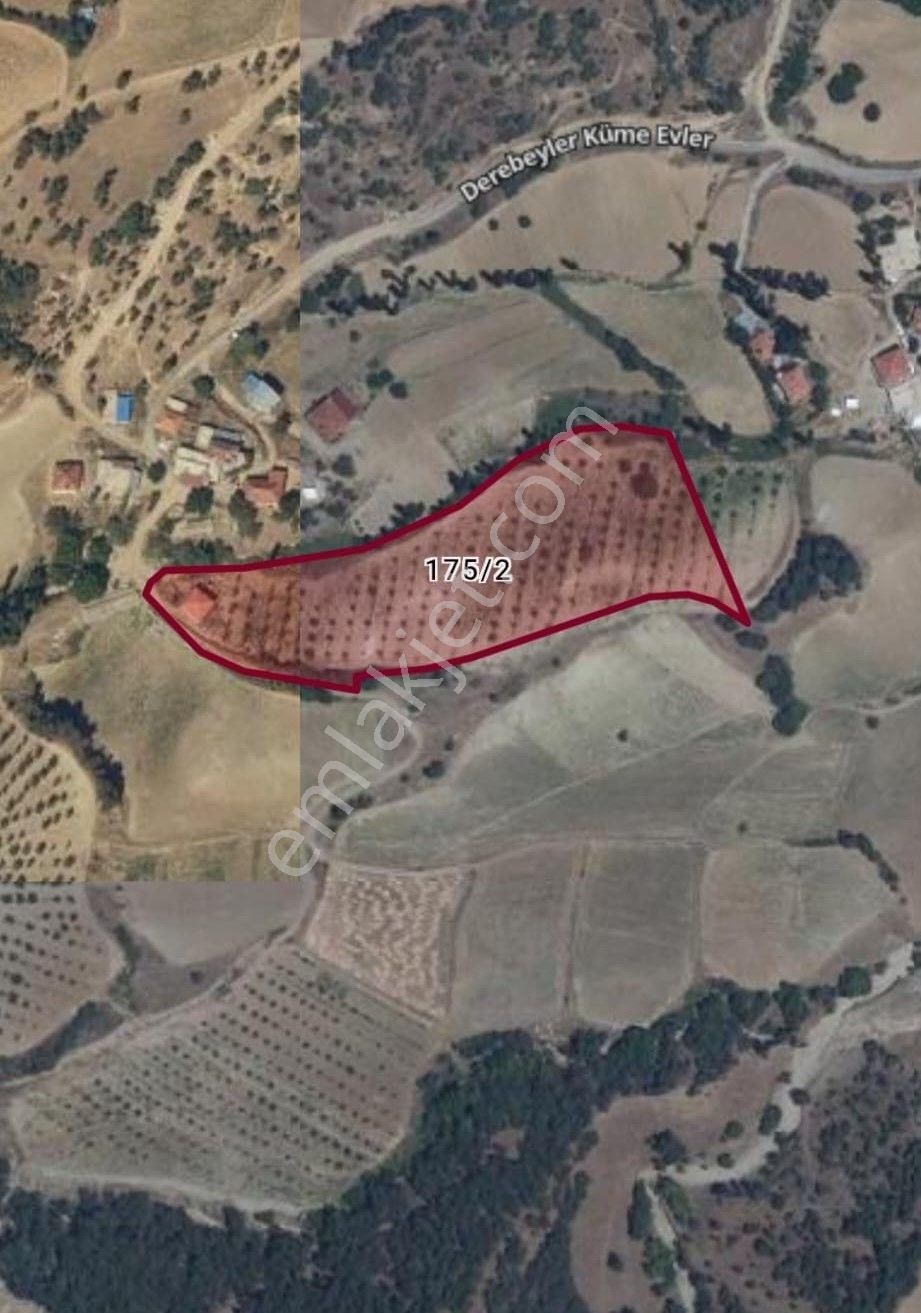 Yuvam Gayrimenkul’den Satılık Uşak Eşme Ağabey Köyünde 10.900 M2 Ev Ve Cevizlik - Görsel 3