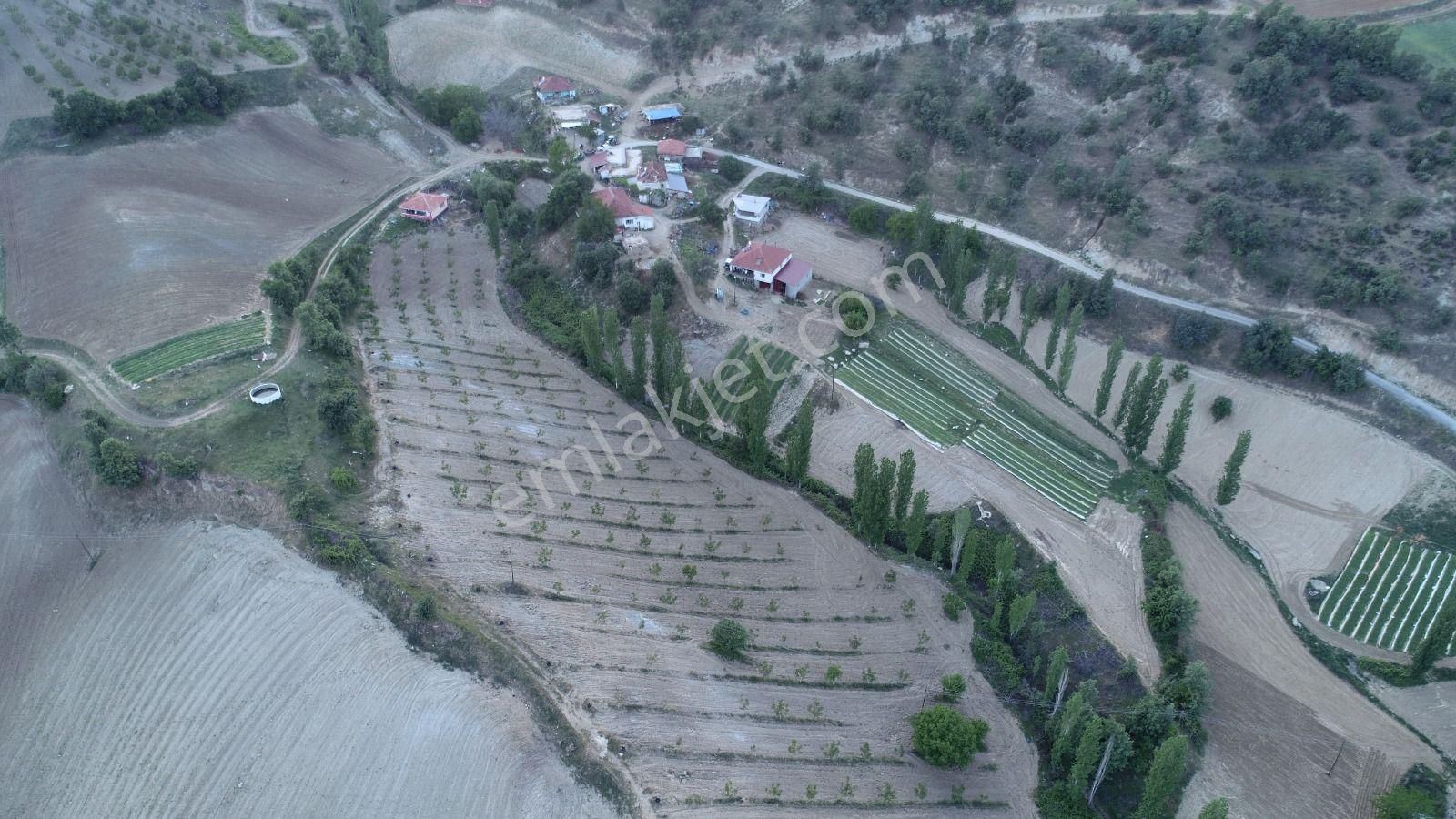 Yuvam Gayrimenkul’den Satılık Uşak Eşme Ağabey Köyünde 10.900 M2 Ev Ve Cevizlik - Görsel 13