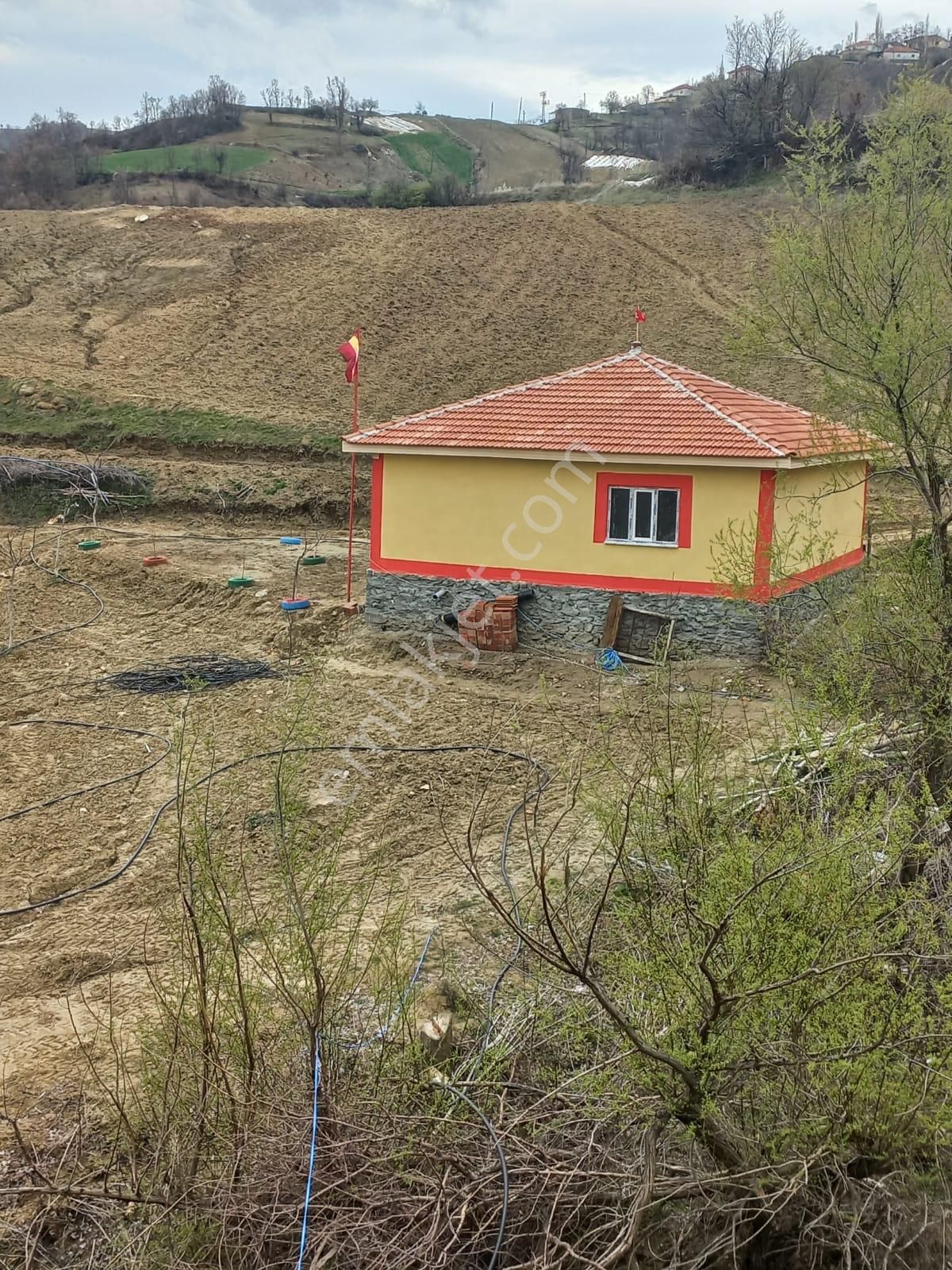 Yuvam Gayrimenkul’den Satılık Uşak Eşme Ağabey Köyünde 10.900 M2 Ev Ve Cevizlik - Görsel 12
