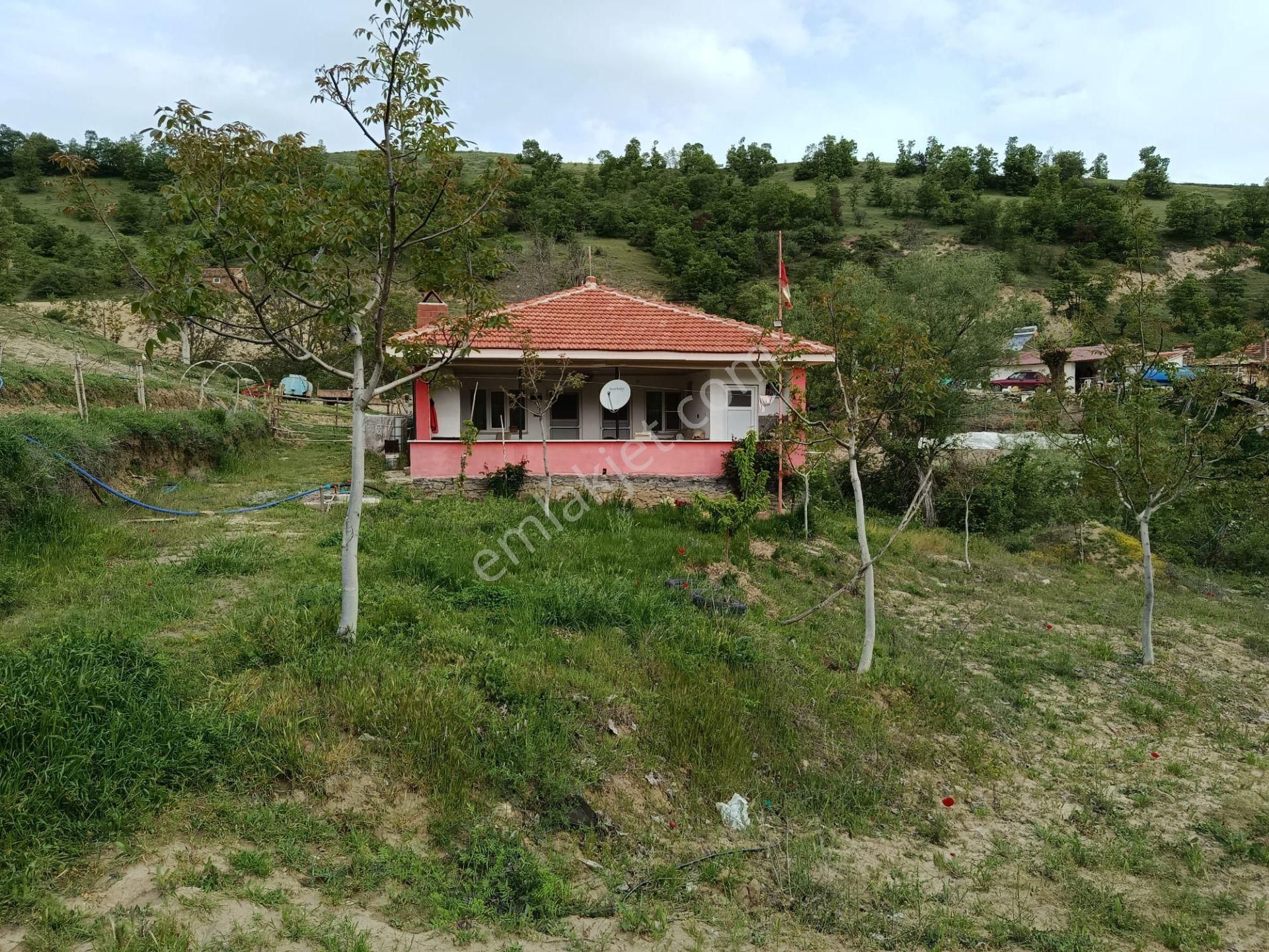 Yuvam Gayrimenkul’den Satılık Uşak Eşme Ağabey Köyünde 10.900 M2 Ev Ve Cevizlik - Görsel 8