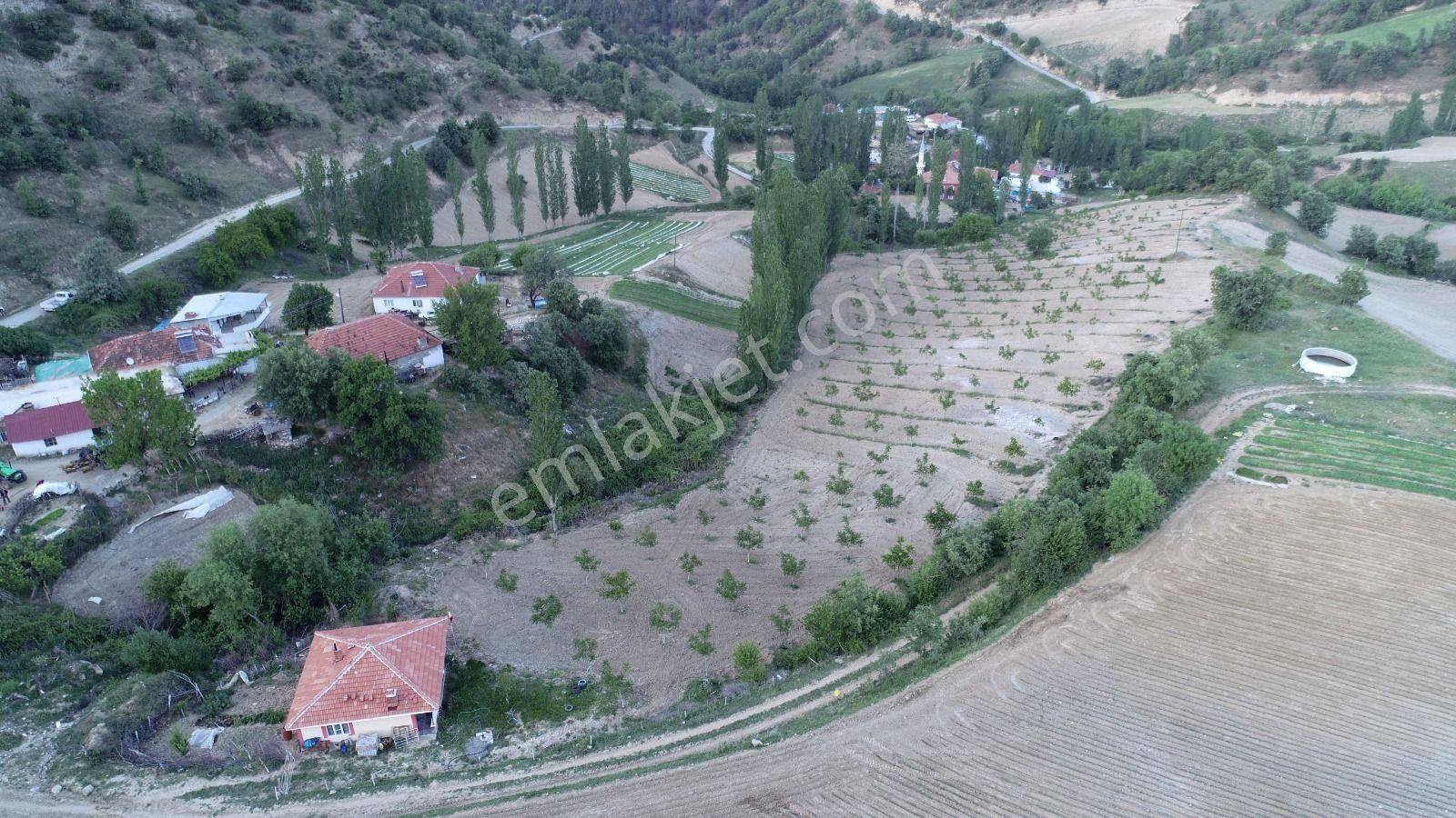 Yuvam Gayrimenkul’den Satılık Uşak Eşme Ağabey Köyünde 10.900 M2 Ev Ve Cevizlik - Görsel 10