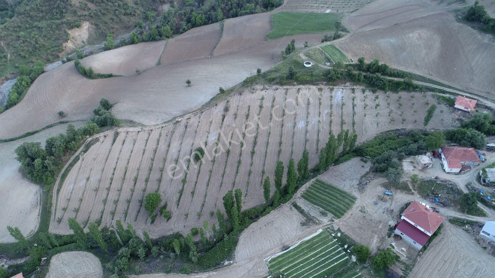 Yuvam Gayrimenkul’den Satılık Uşak Eşme Ağabey Köyünde 10.900 M2 Ev Ve Cevizlik - Görsel 4