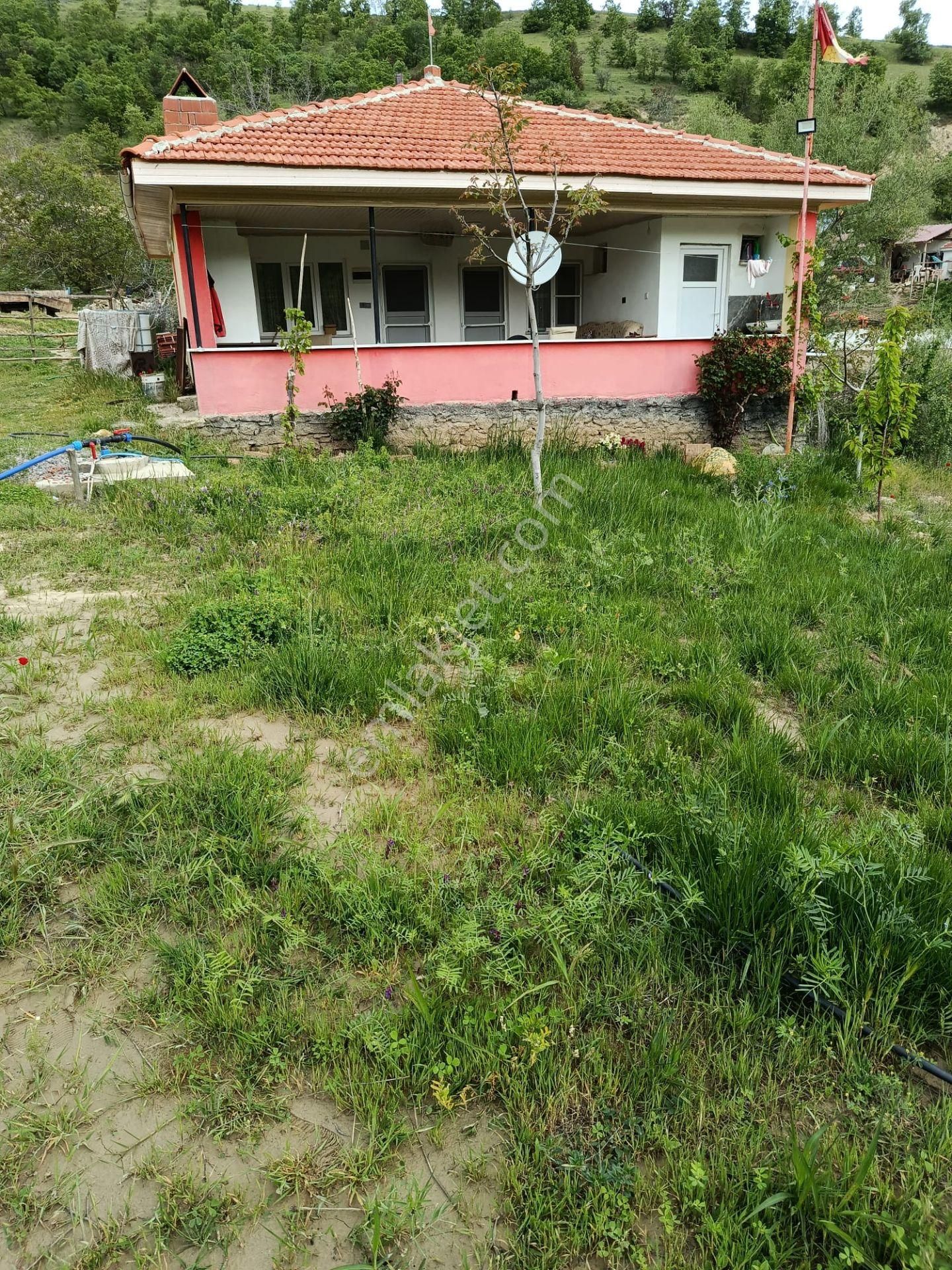 Yuvam Gayrimenkul’den Satılık Uşak Eşme Ağabey Köyünde 10.900 M2 Ev Ve Cevizlik - Görsel 7