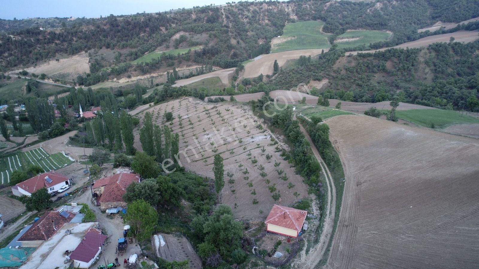 Yuvam Gayrimenkul’den Satılık Uşak Eşme Ağabey Köyünde 10.900 M2 Ev Ve Cevizlik - Görsel 5