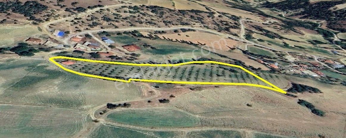 Yuvam Gayrimenkul’den Satılık Uşak Eşme Ağabey Köyünde 10.900 M2 Ev Ve Cevizlik