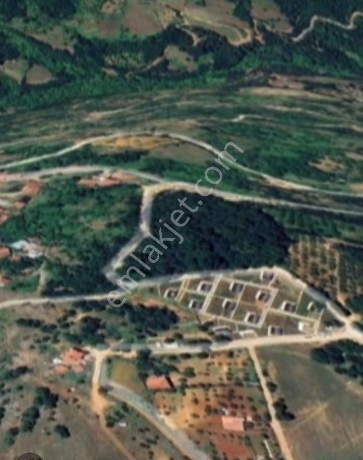 Osmangazi Kirazlı Satılık Tarla (96) @