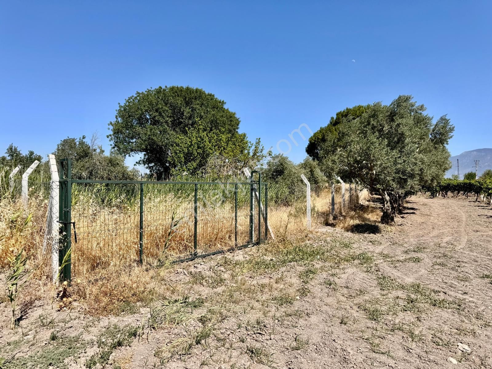 Muradiye De 4.350 M2 Tarla , Telle Çevrili , Resmi Yola 75 Mt Cepheli